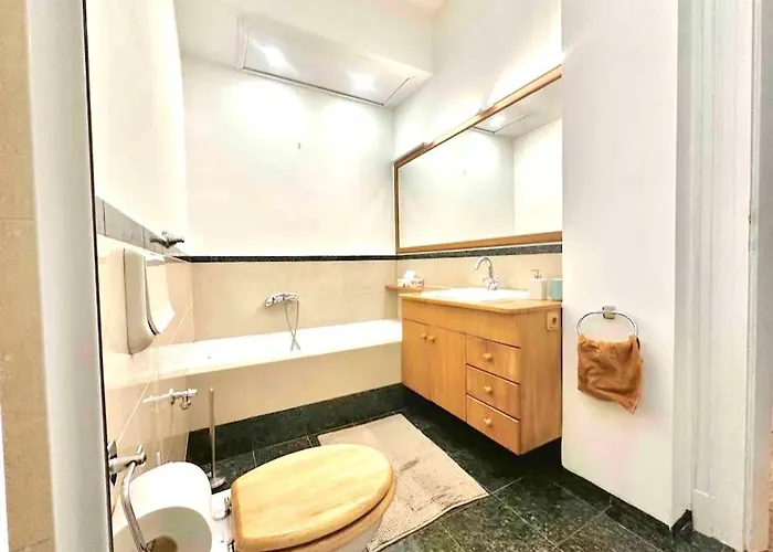 Danube View In Center-prime Location